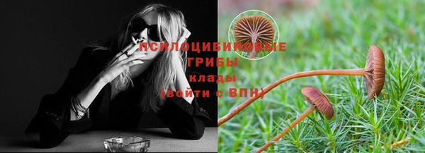 ECSTASY Вязники