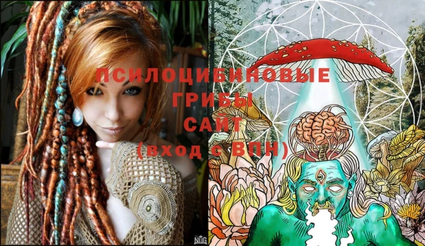 mdma Вяземский